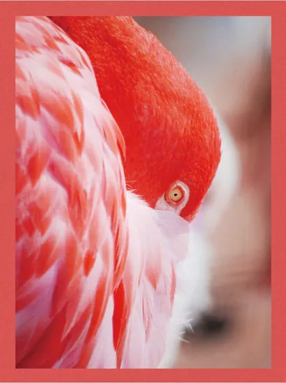 100% Cashmere Women′ S Fashion Ribbed Tank Top